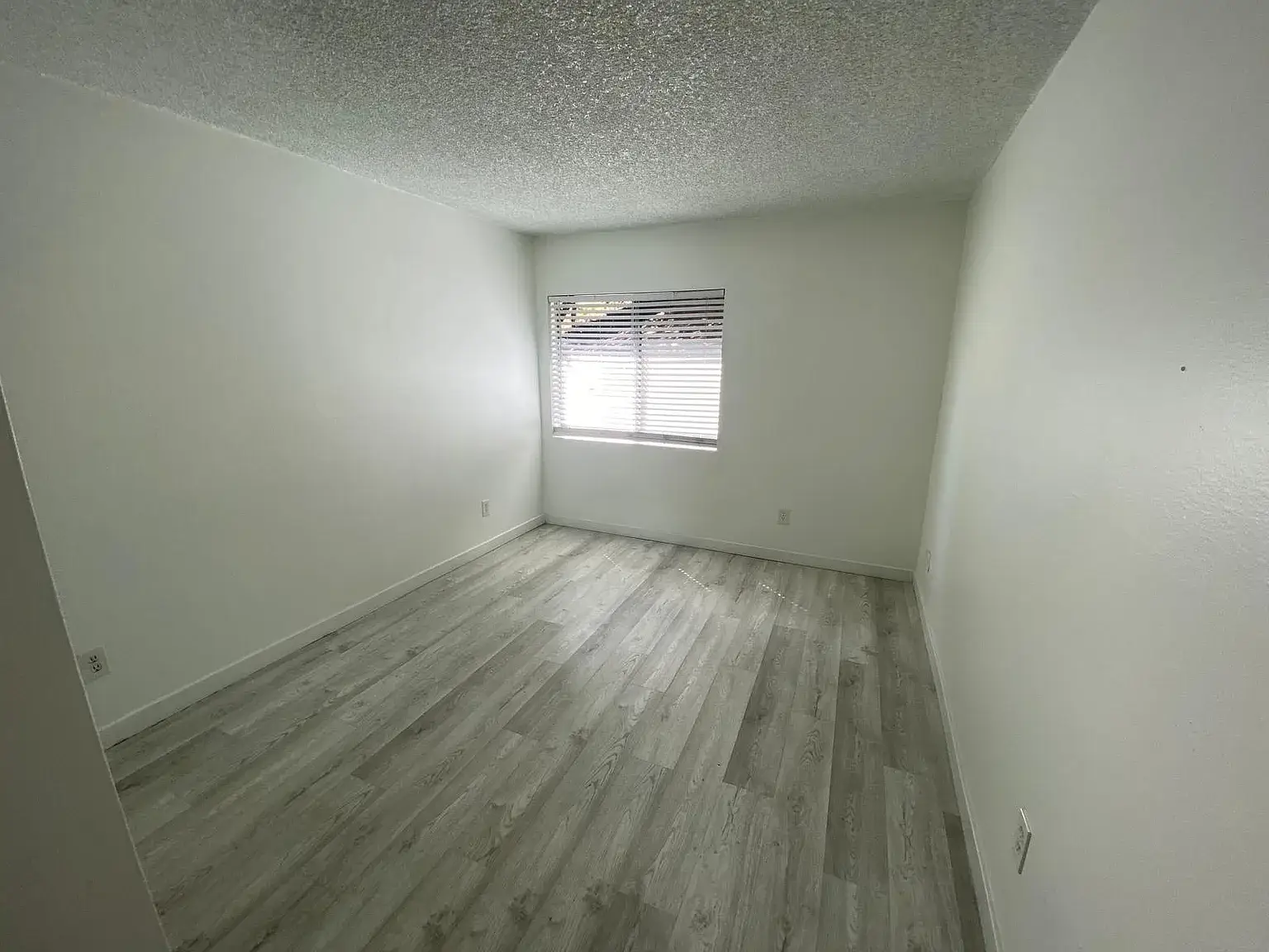 b54ed1ea324a13edb5e3266b0f120978-uncropped_scaled_within_1536_1152